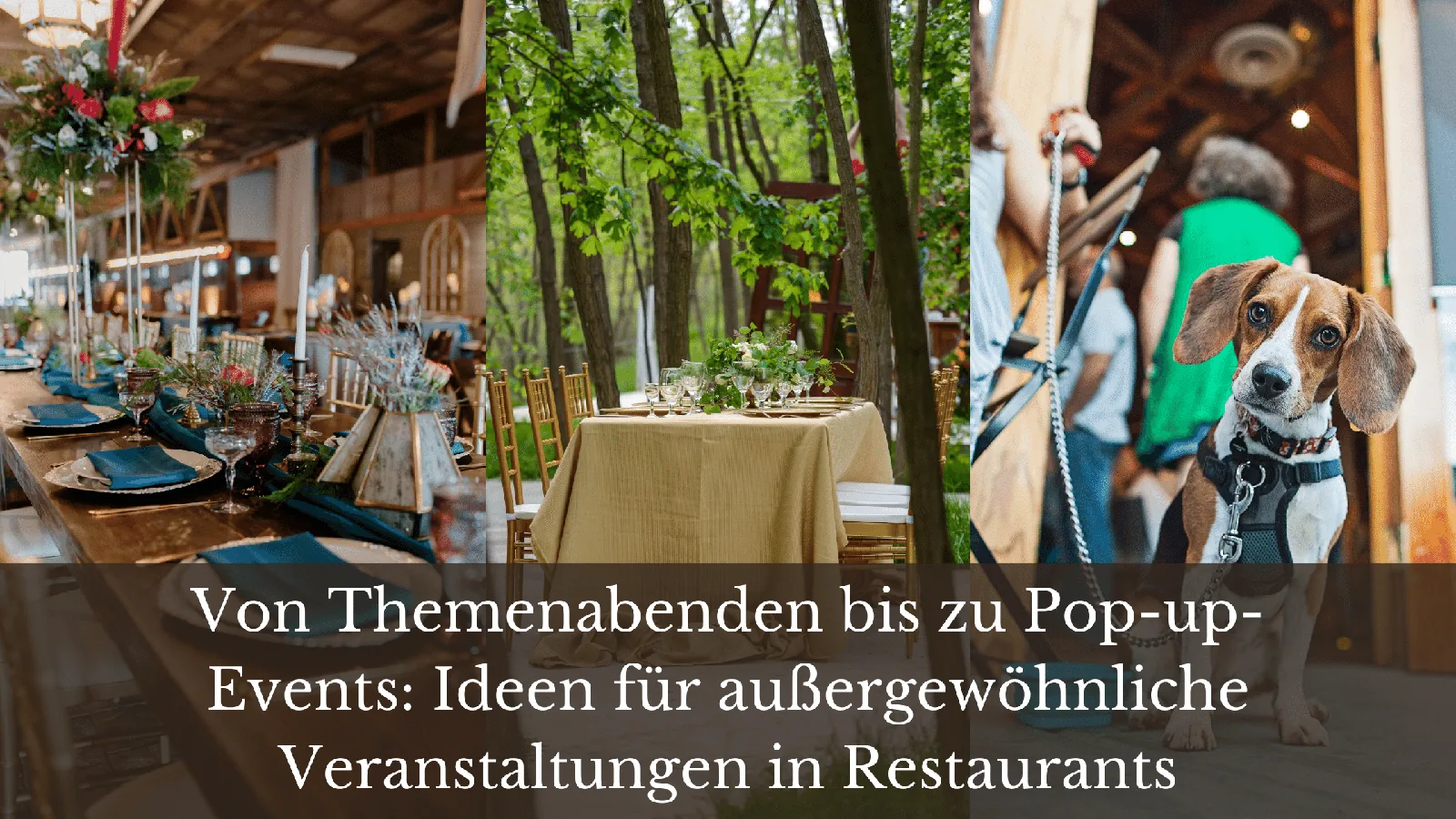 30+ Ideen für außergewöhnliche Veranstaltungen in Restaurants. Mit Anleitungen und Checklisten
